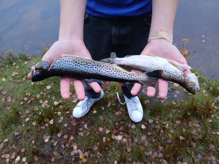 Man fanger ikke fisk med tørre fingre!